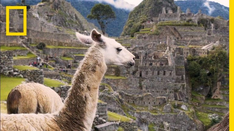 Complete Guide to Peruvian Procedures: Everything You Need to Know in English