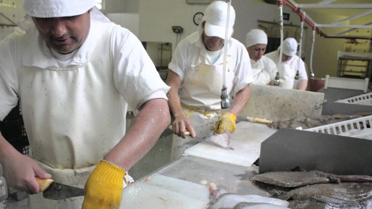 Trámites para plantas pesqueras en Perú: Todo lo que necesitas saber