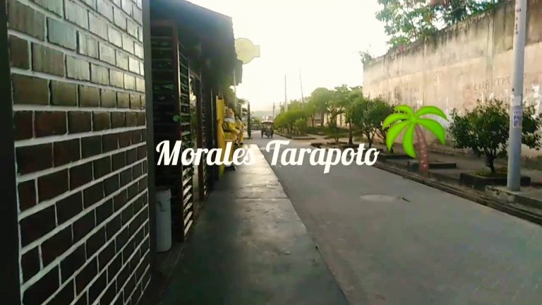 Todo lo que necesitas saber sobre la plaza de Morales en Tarapoto – Guía completa para trámites en Perú