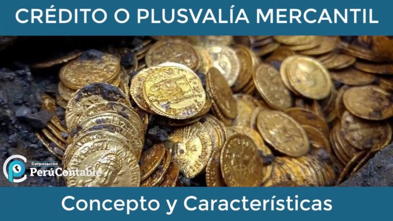 Guía completa sobre cómo calcular y optimizar la plusvalía mercantil en Perú: ¡Aumenta el valor de tus activos!