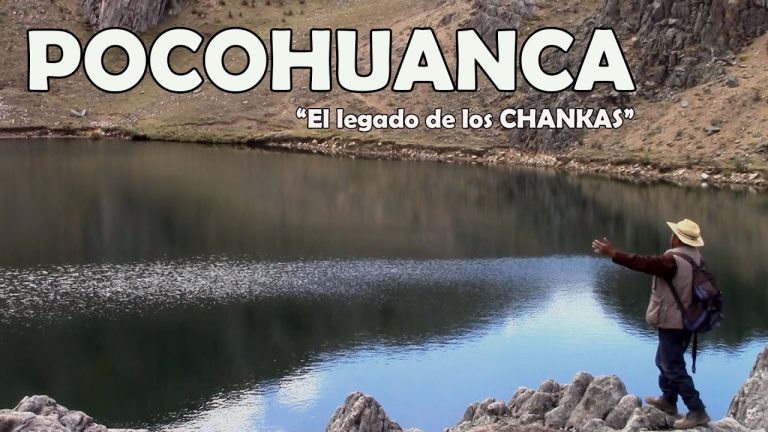 Guía completa sobre trámites en Pocohuanca, Perú: Todo lo que necesitas saber