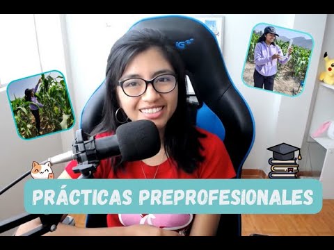 Todo lo que necesitas saber sobre las prácticas pre profesionales en administración en Perú