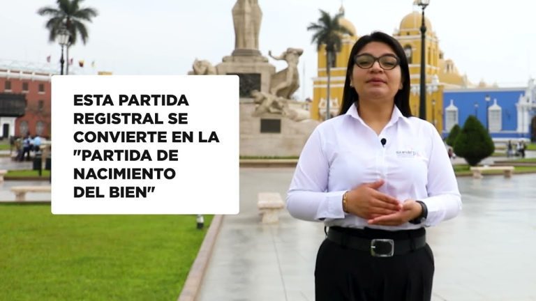 Guía completa para el formato de inmatriculación: Descubre cómo realizar este trámite en Perú
