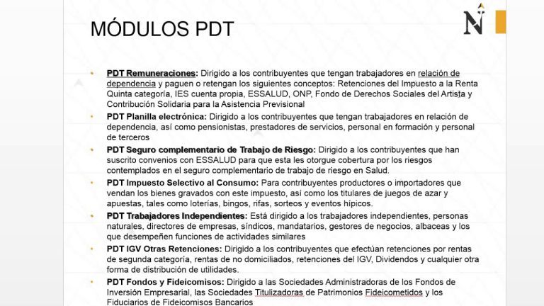 Todo lo que necesitas saber sobre el programa de declaración telemática en Perú: trámites simplificados