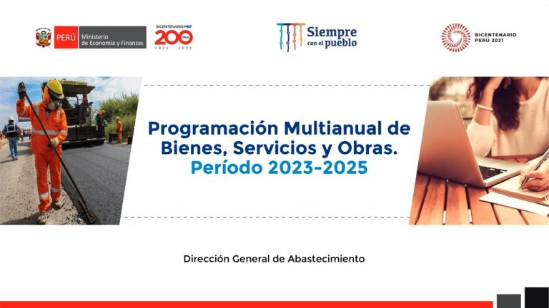 Todo lo que necesitas saber sobre la programación multianual de bienes, servicios y obras en Perú: trámites y requisitos