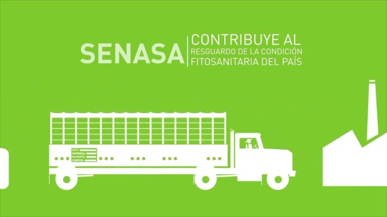 Teléfono de SENASA Perú: ¡Encuentra aquí el contacto para tus trámites agrícolas!