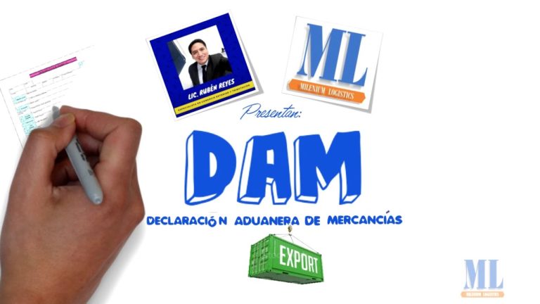 Guía completa sobre el trámite de solicitud de DAM documento en Perú: requisitos y pasos a seguir
