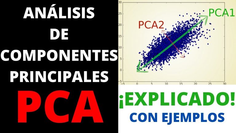 Todo lo que necesitas saber sobre la PCA en Perú: trámites y requisitos