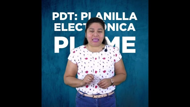 ¿Qué es PDT PLAME? Guía completa y trámites en Perú
