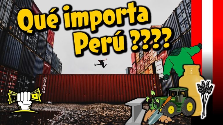 Descubre los 10 principales productos que Perú importa y cómo realizar trámites para su importación