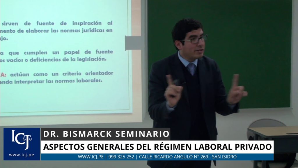 Guía Completa Del Régimen Laboral Privado En Perú Todo Lo Que Necesitas Saber Diario Central Perú 1155