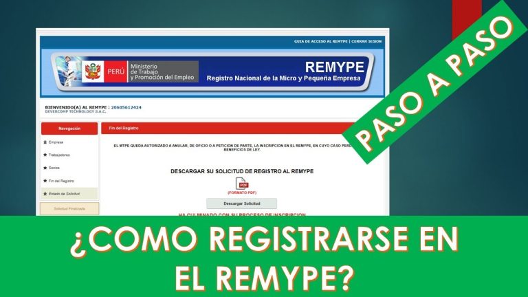 Todo lo que necesitas saber sobre el Registro Remype y su consulta en Perú: Guía paso a paso