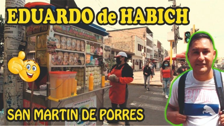 Trámites en Perú: Todo lo que necesitas saber sobre la Av. Habich