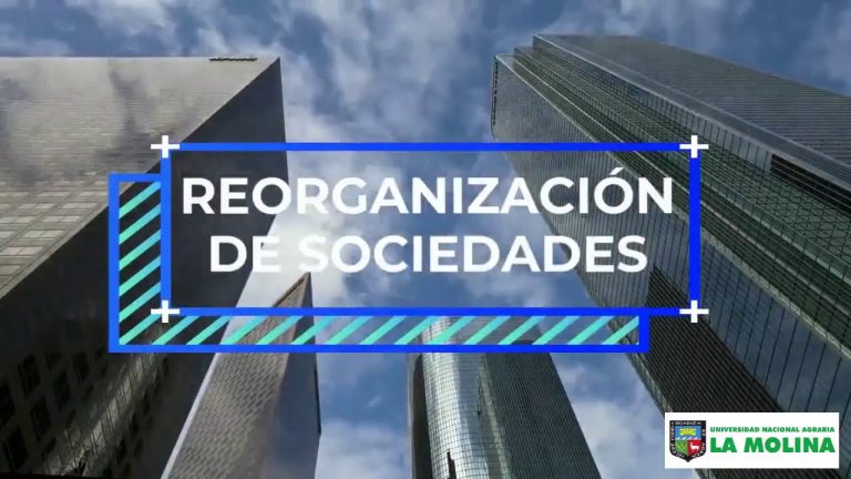 Guía completa de reorganización societaria en Perú: pasos, trámites y requisitos