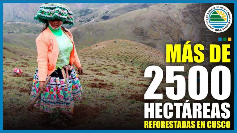 Directorio Gobierno Regional Cusco: Encuentra los Trámites Oficiales en un Solo Lugar