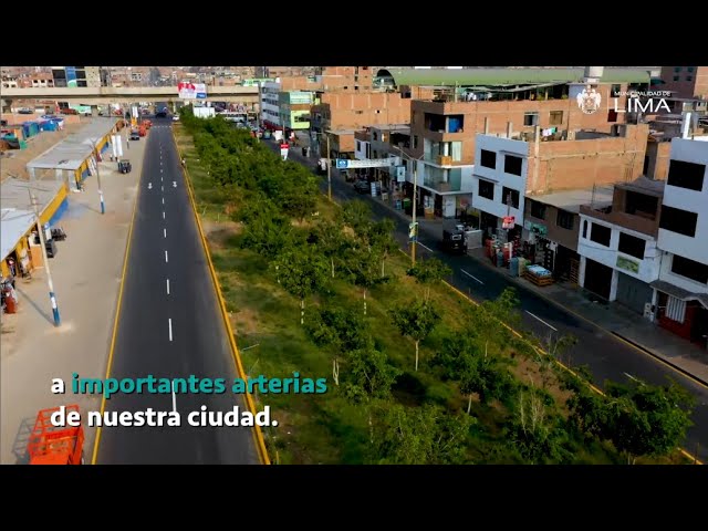 Encuentra el Teléfono de la Municipalidad de San Juan de Lurigancho | Guía de Trámites en Perú