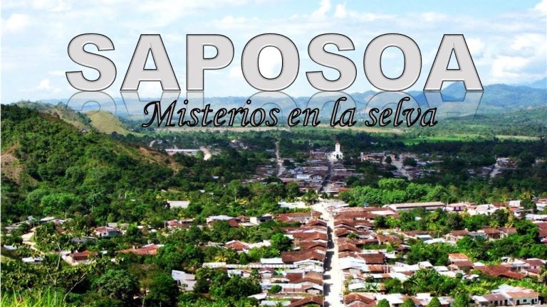 Trámites en Saposoa, San Martín: Guía completa para realizar gestiones en Perú