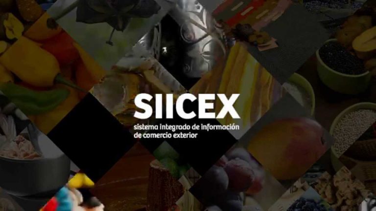 Guía completa para realizar trámites en Perú a través de SIICEX: ¡Simplifica tus gestiones!