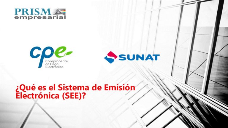 Todo lo que necesitas saber sobre el sistema de emisión electrónica en Perú: requisitos, beneficios y cómo obtenerlo