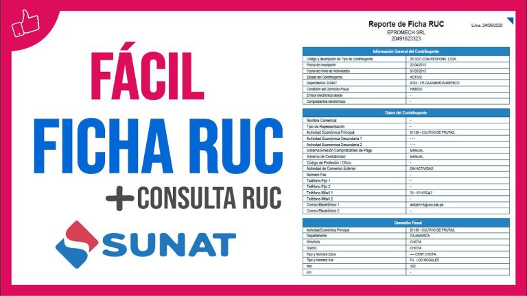 Ficha RUC de una Empresa en Perú: Todo lo que Necesitas Saber para Realizar este Trámite