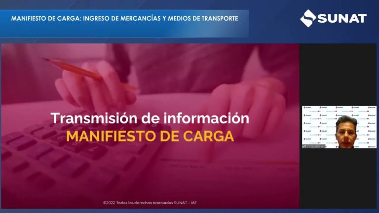 Guía completa sobre el manifiesto SUNAT: requisitos, procedimiento y plazos en Perú