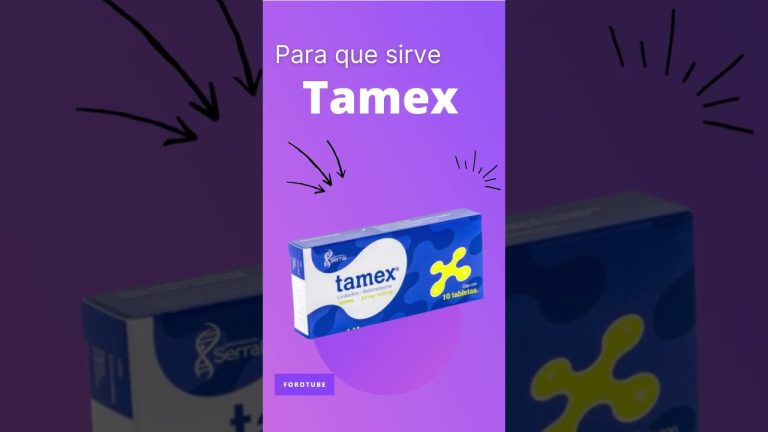 Todo lo que necesitas saber sobre los trámites con Tamex en Perú: Guía completa