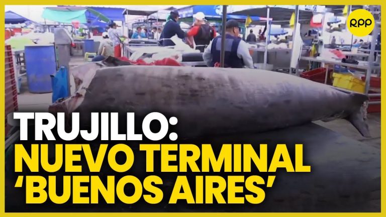 Todo lo que debes saber sobre la terminal de Trujillo: trámites, ubicación y horarios