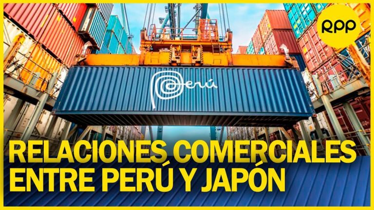 Trámites de AAE Perú Japón: Todo lo que necesitas saber para realizar exitosamente tus gestiones en Perú