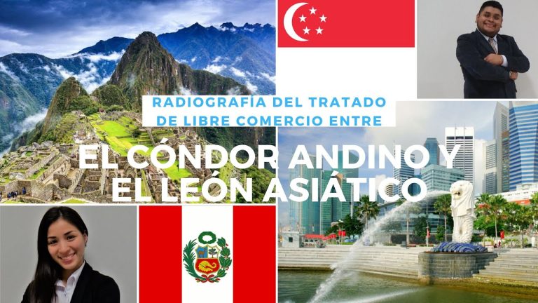 Guía completa para los trámites del TLC Perú Singapur: Requisitos y procedimientos