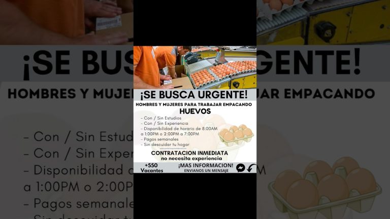 Consejos para Encontrar Trabajo Urgente en el Callao: Guía Completa para Trámites Laborales en Perú
