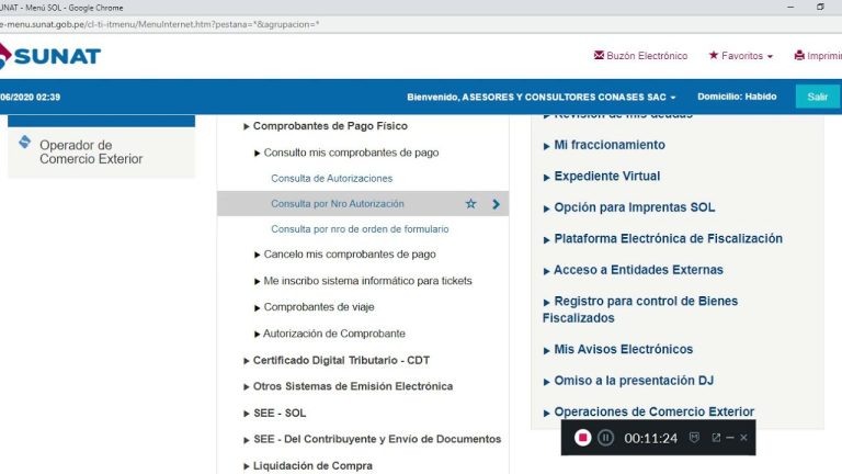 Guía completa de trámites y consultas en línea en SUNAT: Descubre cómo realizar tus gestiones fácilmente en Perú