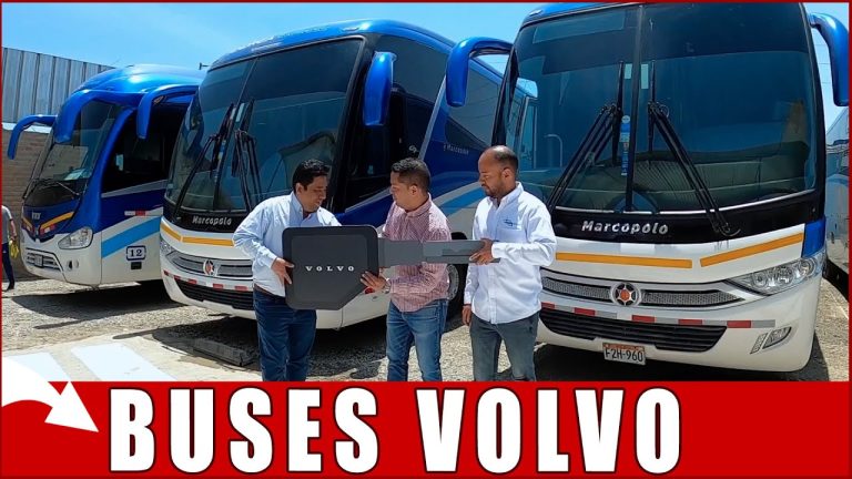 Todo lo que necesitas saber sobre Transportes Andrea Piura: Trámites y Servicios en Perú