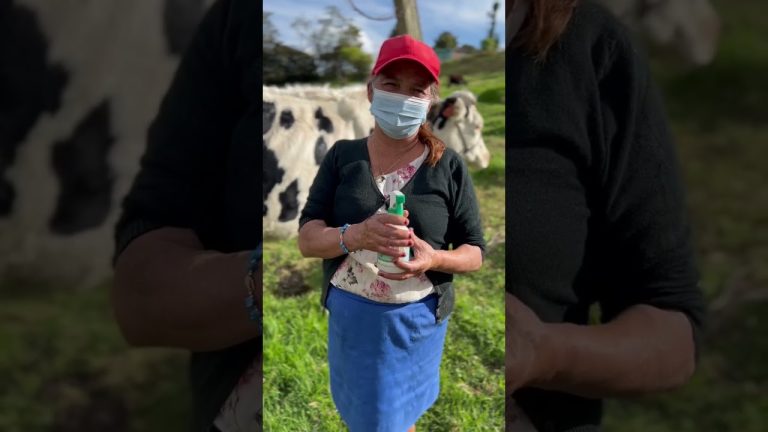 Todo lo que necesitas saber sobre el uso del spray para el cuidado de vacas en Perú