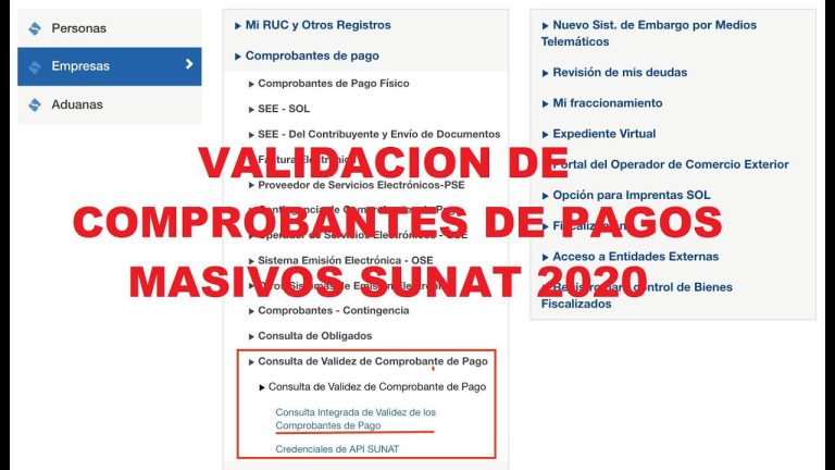 Guía completa para la validación masiva de comprobantes de pago en Perú: ¡Simplifica tus trámites con este paso a paso!