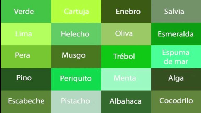 Descubre los diferentes tipos de trámites en Perú en el área verde: ¡una guía completa!