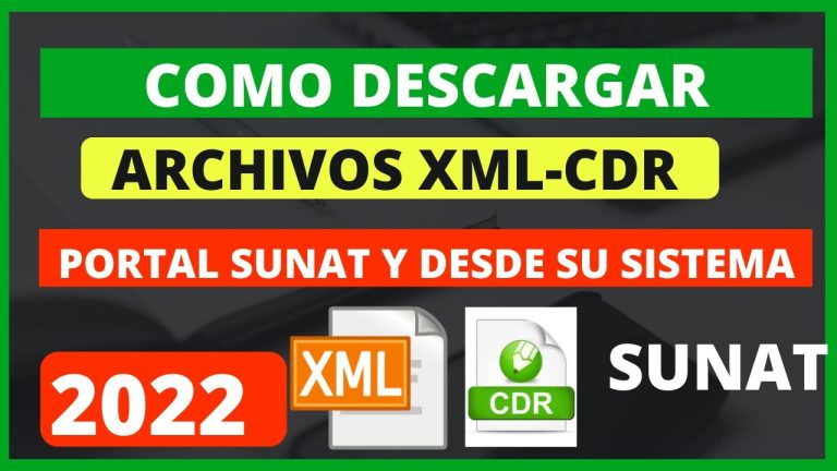 Todo lo que necesitas saber sobre el XML de SUNAT: guía completa para trámites en Perú