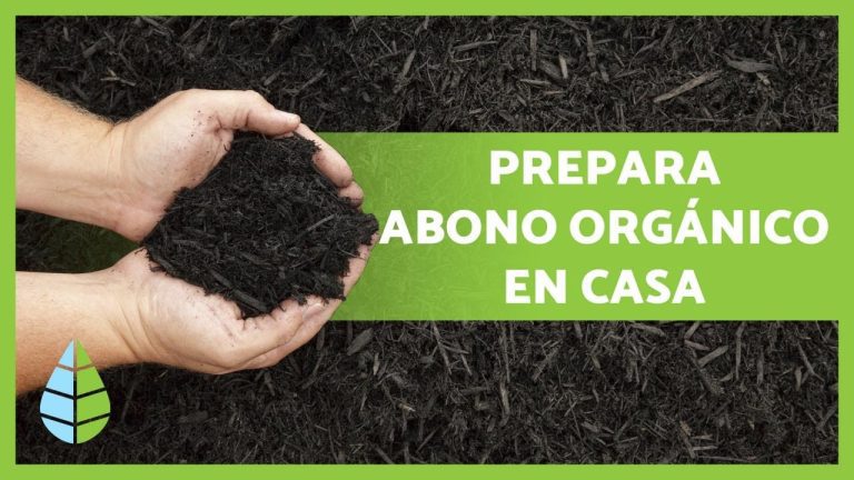 Todo lo que necesitas saber sobre los abonos orgánicos para tus trámites en Perú