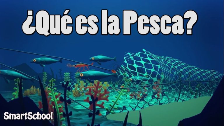 Guía completa de trámites para la actividad económica de la pesca en Perú: Todo lo que necesitas saber