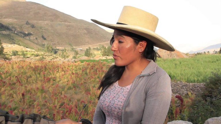 Agricultura en Arequipa: guía completa de trámites y procesos en Perú