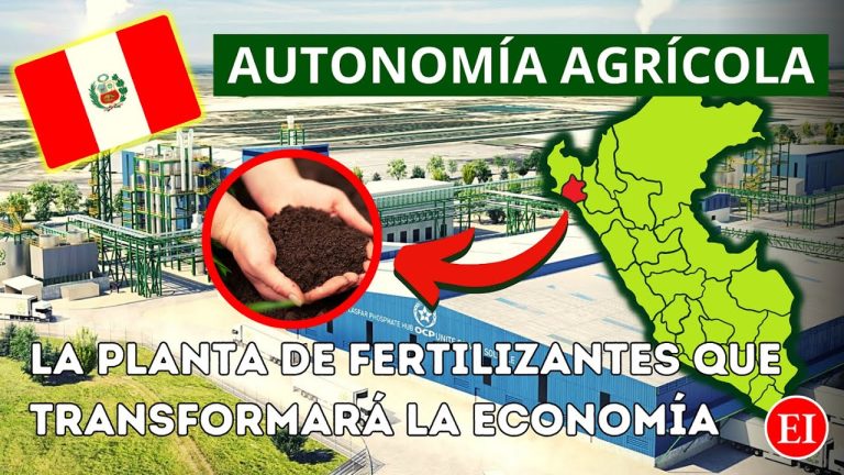 Guía completa para los trámites agrícolas en Piura, Perú: ¡Optimiza tu negocio en el sector de la agricultura!