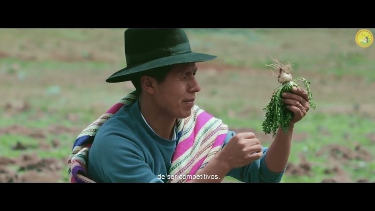 Descubre los trámites necesarios para iniciar la agroexportación en Perú