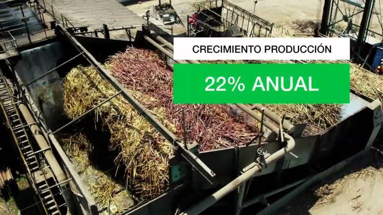 Trámites agroindustriales en Pomalca: Todo lo que necesitas saber en Perú