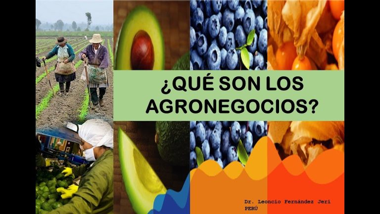 Descubre las Oportunidades Profesionales en Agronegocios: Carrera en Perú