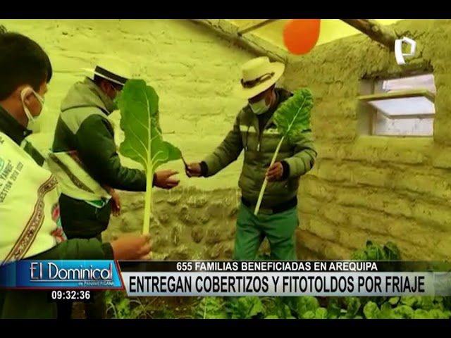Agrorural Puno: Todo lo que necesitas saber para realizar trámites agrarios en Perú