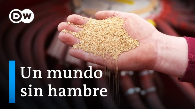 Descubre los mejores alimentos naturales en Latco International SA para mejorar tu salud en Perú