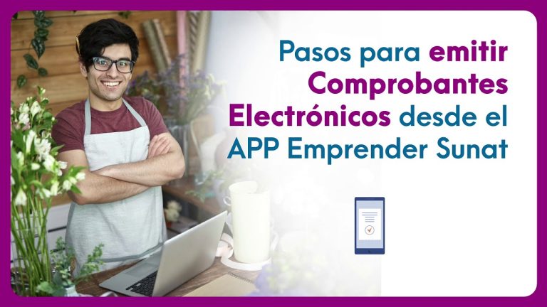 Todo lo que necesitas saber sobre la app para emprendedores de la SUNAT en Perú