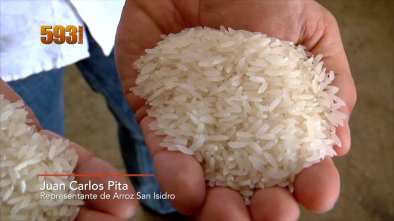 Todo lo que necesitas saber sobre el arroz pilado en Perú: trámites y regulaciones
