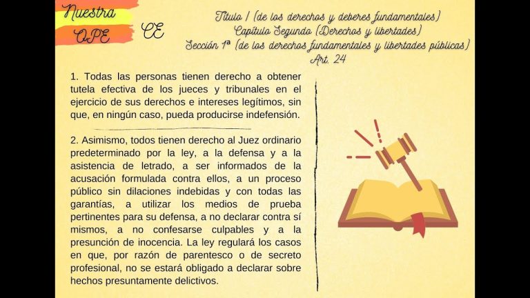 Todo lo que necesitas saber sobre el artículo 24 en Perú: trámites y requisitos