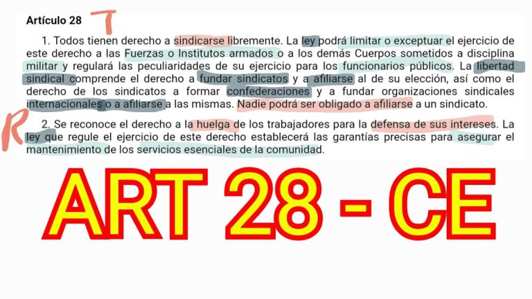Todo lo que necesitas saber sobre el artículo 28: Trámites en Perú