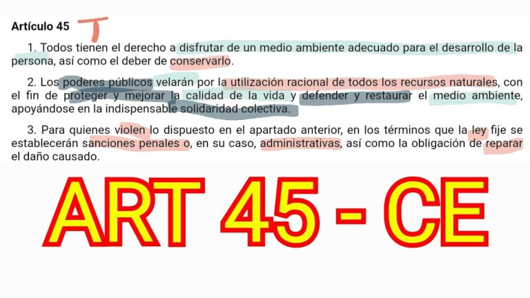 Todo lo que debes saber sobre el Artículo 45: Trámites y requisitos en Perú